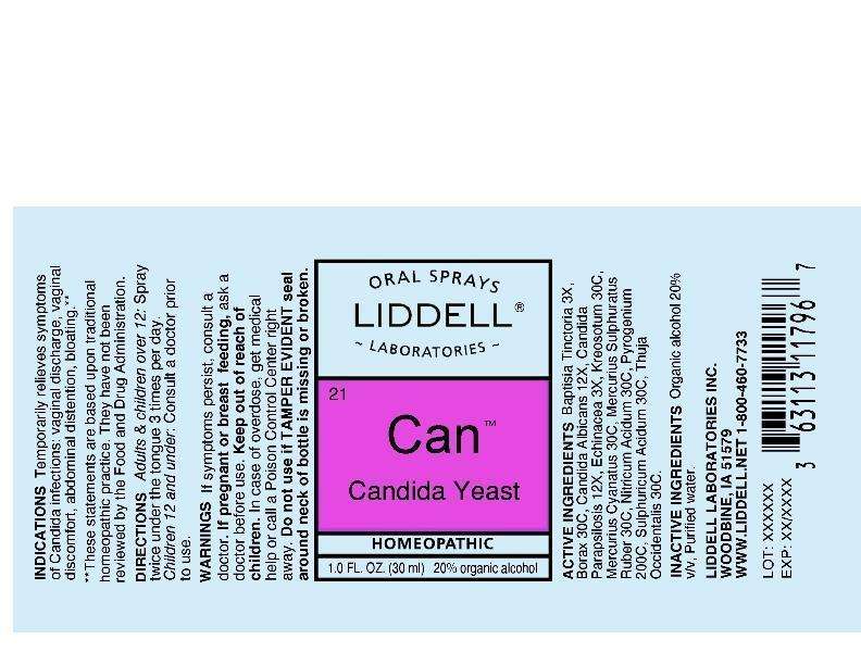 Candida Yeast